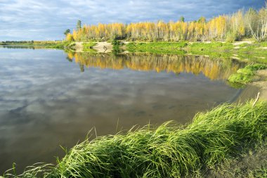 Göl kıyısında sonbahar manzara