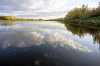 Nehirli sonbahar manzarası