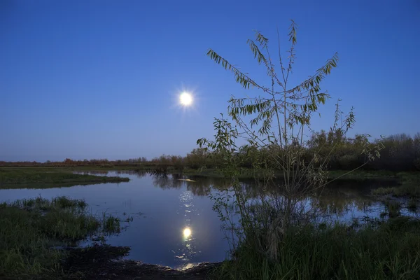 Paisaje nocturno en el lago de la luna en el cielo . — Foto de Stock