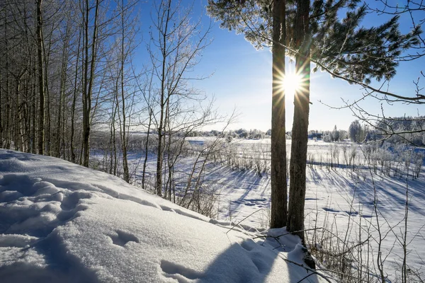 Paisagem de inverno com sol brilhante — Fotografia de Stock