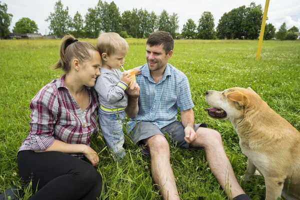 Jonge vader, moeder en zoon 1,3 jaar, hond op groen gazon. Jongen consumptiemelk . — Stockfoto