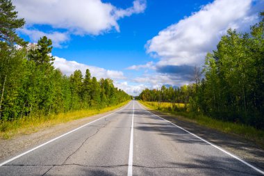 Asfalt yol işaretleri ormandaki ile .