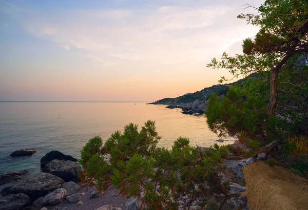 Можжевельник и скалистый берег Черного моря в вечернее время. Крым, залив Ласпи . — стоковое фото
