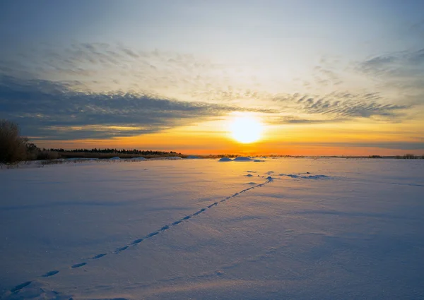 Sol brilhante ao pôr-do-sol inverno com a estrada e pegadas na neve . — Fotografia de Stock