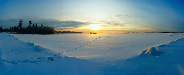 Felle zon zonsondergang winter met weg- en voetstappen in de sneeuw. — Stockfoto