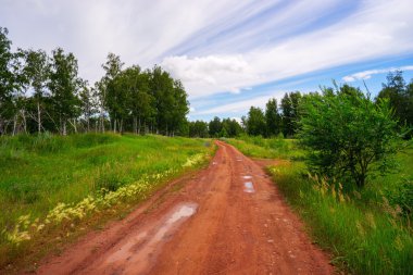 Orman yolu ile yağmur sonra su birikintileri . 
