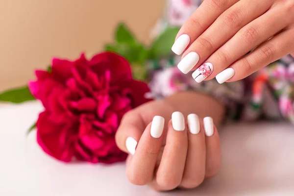 Close Uitzicht Mooie Vrouwelijke Handen Met Romantische Manicure Nagels Roze — Stockfoto