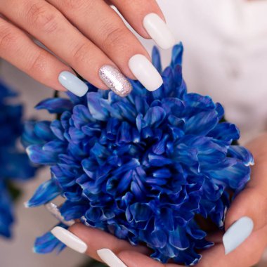 Beautiful female hands with romantic manicure nails, blue and white gel polish, holding flower