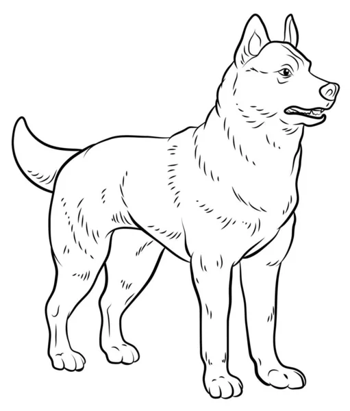 Animals Our Faithful Friends Black White Image Dog Coloring Book — Stock Photo, Image