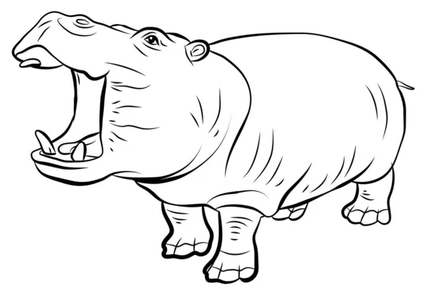 Dieren Zwart Wit Afbeelding Van Een Groot Afrikaans Nijlpaard Kleurboek — Stockfoto