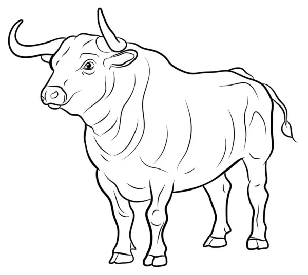 Symbol Year 2021 Large Wild Animal Buffalo Black White Image — Stock Photo, Image