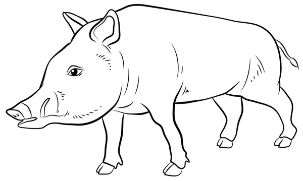 Animals Black White Image Wild Boar Coloring Book Children — Stock Photo, Image