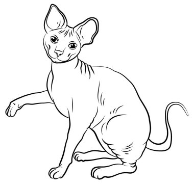 Boya ve renkli kalemlerle boyamak için evcil bir kedi resmi.