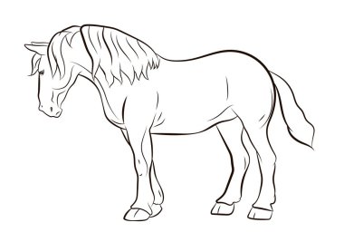 Hayvanlar aleminde. At görüntüsü. Siyah beyaz çizim, renklendirme.