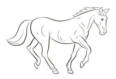 Hayvanlar aleminde. At görüntüsü. Siyah beyaz çizim, renklendirme.