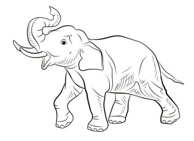 Hayvanlar. Büyük bir filin siyah beyaz görüntüsü, çocuklar için boyama kitabı..