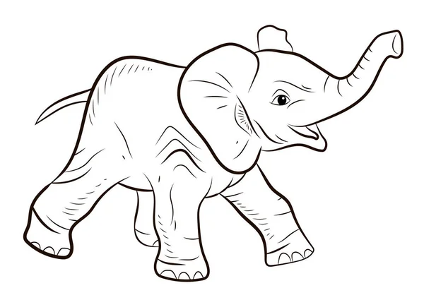 Animals Black White Image Large Elephant Coloring Book Children — Stock Photo, Image