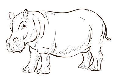 Hayvanlar. Büyük bir Afrika su aygırının siyah beyaz görüntüsü, çocuklar için boyama kitabı..
