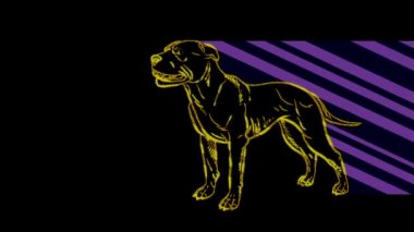Komik hayvanlar, köpek. Neon ışığı. Reklam pankartları ve web siteleri tasarımı. Parlayan bir işaret..