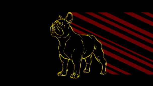 Grappige Dieren Hond Neon Licht Ontwerp Van Reclamebanners Websites Een — Stockvideo