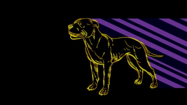 Grappige Dieren Hond Neon Licht Ontwerp Van Reclamebanners Websites Een — Stockvideo