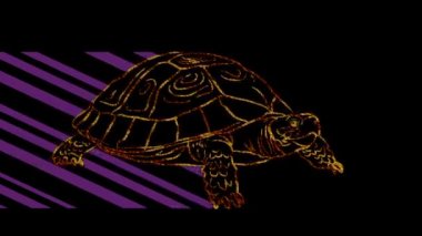 Komik hayvanlar, kaplumbağa. Neon ışığı. Reklam pankartları ve web siteleri tasarımı. Parlayan bir işaret..