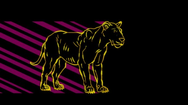 Vicces Állatok Puma Neon Fény Reklámplakátok Weboldalak Tervezése Ragyogó Jel — Stock videók