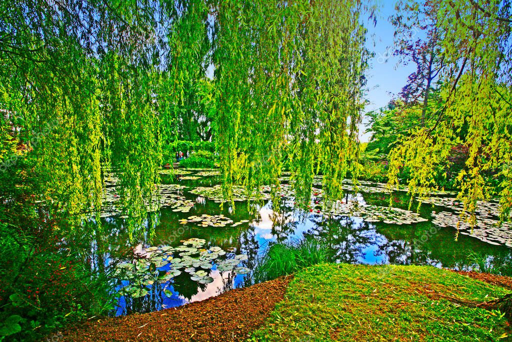 Sauces llorones y árboles que se reflejan en el estanque de nenúfares