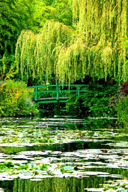 Claude Monet 'nin Fransa' daki Giverny Bahçesi 'ndeki nilüfer göletine yansıyan yeşil Japon köprüsü.