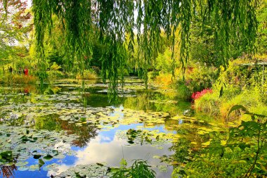 Su zambakları, ağlayan söğüt ağaçları ve Claude Monet 'in Fransa' daki Giverny, Normandiya Bahçesi 'nin nilüferli göletinde yansıyan bulutlar.