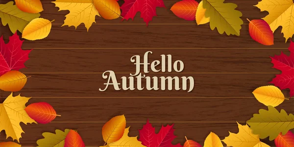 Hallo Herbst Illustration Mit Verstreuten Herbstblättern — Stockvektor
