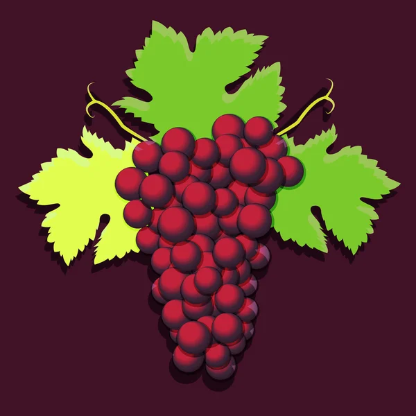 Grappe de raisins aux feuilles vertes. Illustration vectorielle . — Image vectorielle
