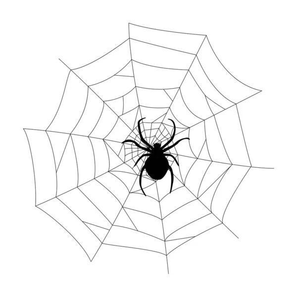 黒いクモとクモの糸のシルエット 自然な形手描きのイメージです ハロウィンのための白い背景にあるシンプルな孤立したオブジェクトパーティーの装飾のために 漫画の不気味な線形要素 — ストックベクタ
