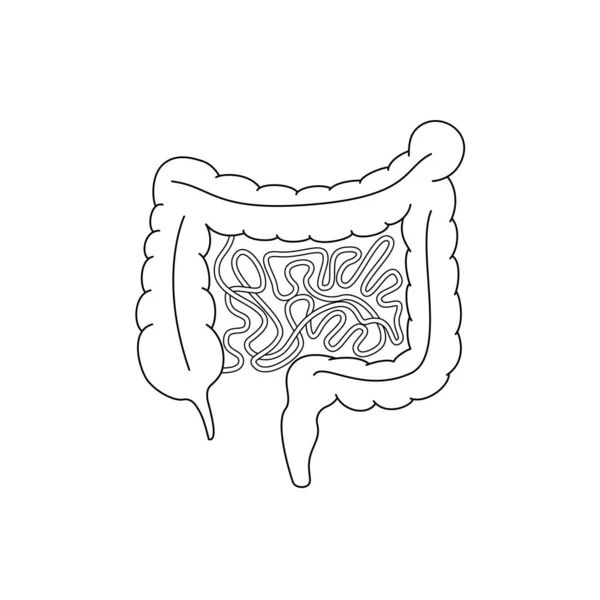 Sinal Intestino Humano Simples Linear Infográficos Esquemáticos Estrutura Intestino Grosso — Vetor de Stock