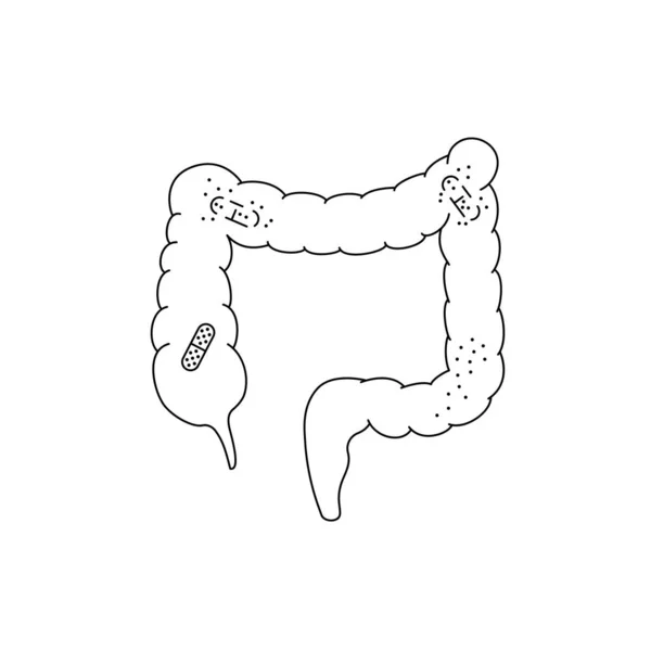 Intestinos Lineares Comprimidos Dissolvem Nele Conceito Medicina Dissolução Pílulas Intestino — Vetor de Stock