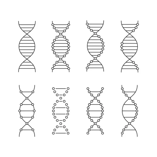 Zwarte Lineaire Dna Pictogrammen Ingesteld Concept Van Genetische Manipulatie Studie — Stockvector