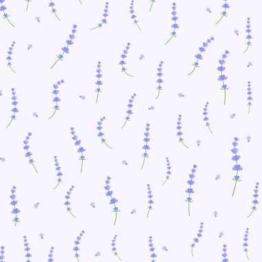 Kusursuz mor lavanta desenli. Güzel yaz çiçekleri tarlası. Düğün kartı için grafik modern tasarım, çay için ambalaj kağıdı, kırsal pamuk tekstili. bitkisel elementler ışık arkaplanında izole