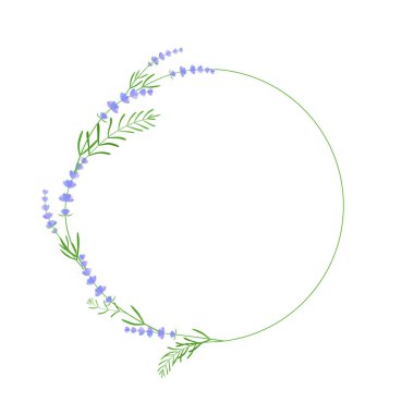 Lavanta yarım daire çerçeve veya çıkartma. Çiçeksel desen, doğa amblemi. Grafik tasarımı bahar çiçekleri düğün kartı, çiçekçi, spa, parfüm için. bitkisel elementler beyaz arkaplanda izole edildi