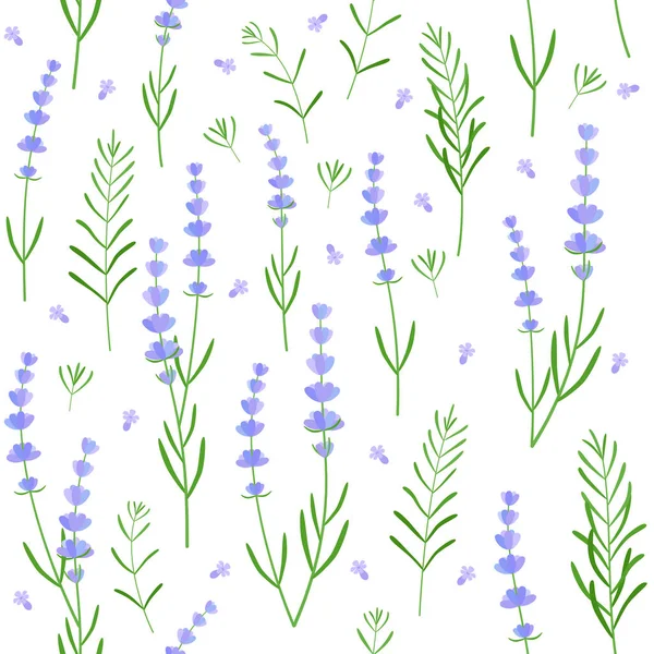 Seamless Floral Lavender Pattern Beautiful Spring Summer Field Graphic Design — Stock Vector