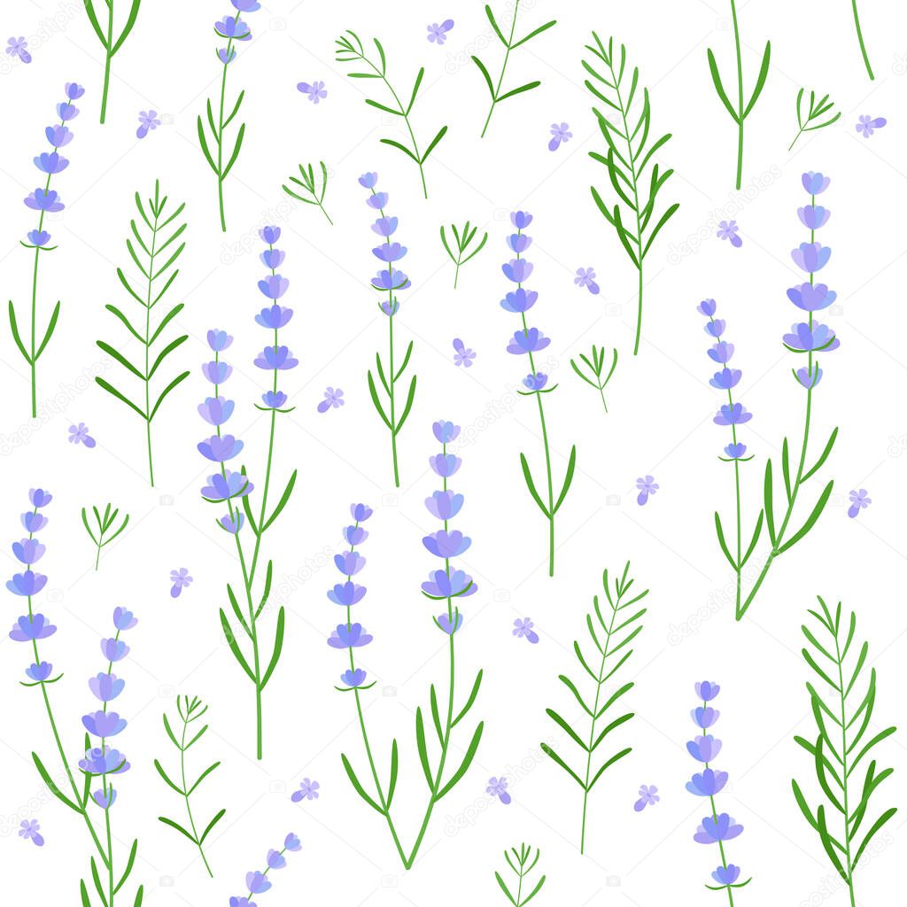 seamless floral lavender pattern. beautiful spring or summer field. graphic design for greeting card or package for perfume, cosmetic, tea, cotton textile. herbal elements isolated on white background