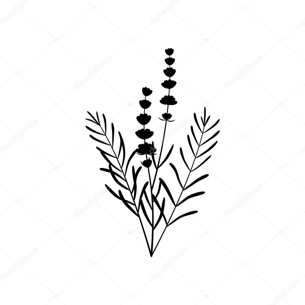 black silhouette lavender bouquet. small bush of flowers. single sign for greeting cards, invitations on white background. beautiful fresh floral cut fragrant lavende plant
