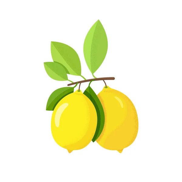 Dala Sarı Limon Antioksidan Diyeti Ferahlatıcı Içecek Yapraklı Narenciye Ağacı — Stok Vektör
