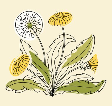 Bir karahindiba hatının bahar ve yaz çizimi. Dilek tut. Pastel arka planda bir çiçek çizimi. Bahar geliyor, kış bitiyor..