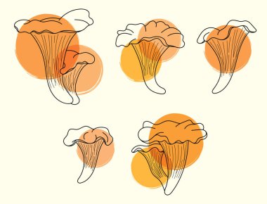 Turuncu lekeli Chanterelle mantarları serisi. Renk aksanlı kulübe çekirdeği