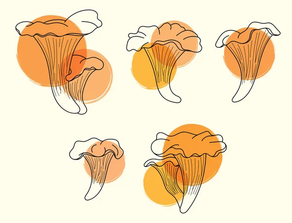 Jogo de arte de linha de cogumelos chanterelle com lugares de pintura cor-de-laranja. Núcleo de casa de campo com um acento de cor Gráficos De Vetores