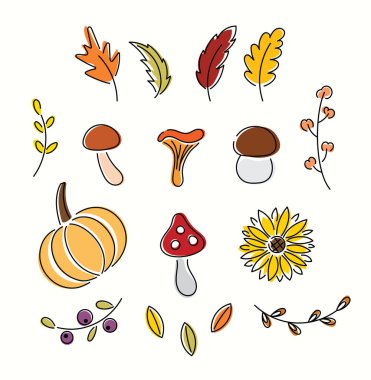 Sonbahar sebze ve yapraklarından oluşan parlak bir set. Şükran Günü koleksiyonu