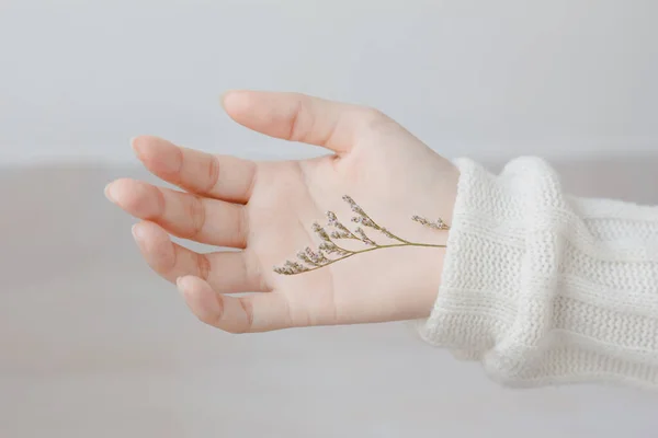 Close Dry Flower Beauty Woman Hand White Sweater Minimal Style — Stock Photo, Image