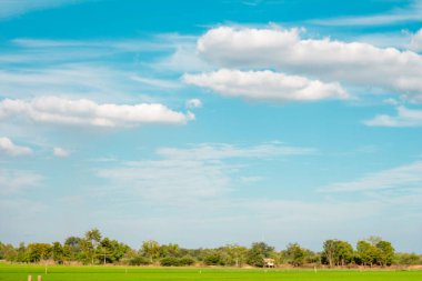 Güzel mavi gökyüzü ve çayırlı bulut, ağaç. Yaz için manzara. Tatil için en iyi manzara..