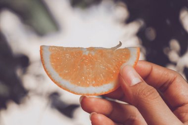 El ele tutuşan turuncu mahsul tonu.