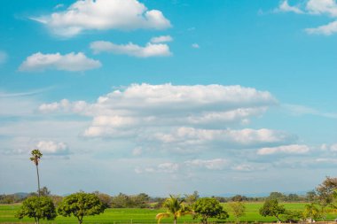 Güzel mavi gökyüzü ve çayırlı bulut, ağaç. Yaz için manzara. Tatil için en iyi manzara..